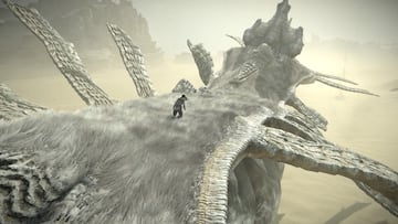 Captura de pantalla - Shadow of the Colossus (PS4)