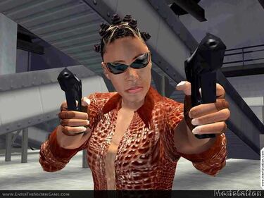 Enter The Matrix (GameCube)