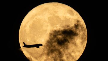 During the night of Thursday, July 10, we will be able to clearly observe the full moon in his most visible phase, appearing lower in the sky this year.