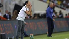 A fin de año se conocerá el seleccionador de Argentina