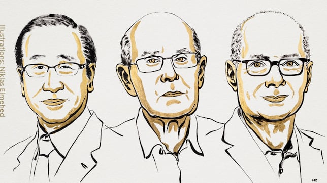 Susumu Kitagawa, Richard Robson y Omar M. Yaghi, premio Nobel de Química por “el desarrollo de estructuras metalorgánicas”