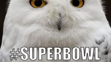 We get it. Sports are silly and you don&rsquo;t like them and it&rsquo;s just oh-so-much-fun to make the same overused joke about the Super Bowl! Enough, already.