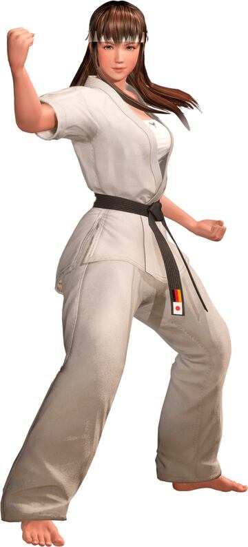  Estilo de lucha: Karate