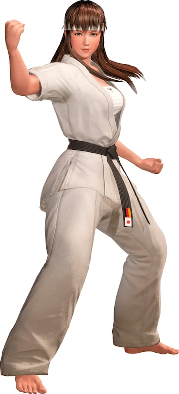 Estilo de lucha: Karate