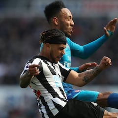 David Ospina regresa al banco de Arsenal ante Newcastle