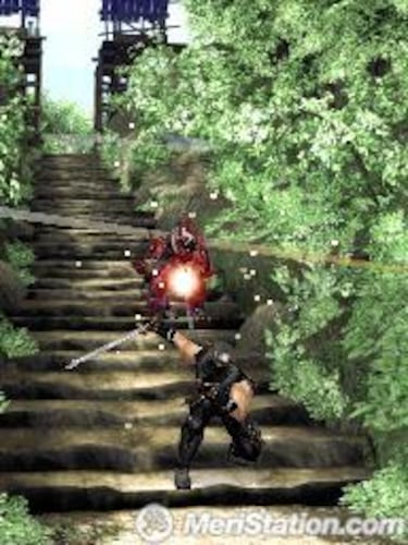 Ninja Gaiden Dragon Sword, Impresiones