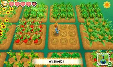 Captura de pantalla - Story of Seasons (3DS)