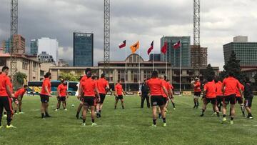 Se agotan entradas para el duelo de Chile ante All Blacks Maori