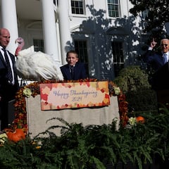 ¿Qué sucederá después de la ceremonia de perdón con Peach y Blossom, los pavos perdonados por Joe Biden?
