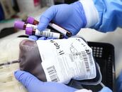 Hasta qué edad se puede donar sangre: requisitos, riesgos y cuántas veces se puede donar al año