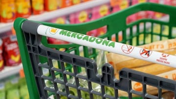 Mercadona no te regala 100 euros, la encuesta que debes evitar