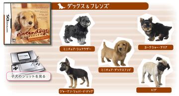 Captura de pantalla - nintendogs_imagen.jpg