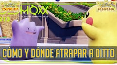¿Dónde encontrar a Ditto en Pokémon Escarlata/Púrpura y cómo atraparlo?