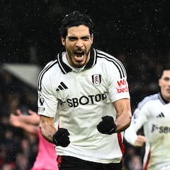 La radiografía de los 55 goles de Raúl Jiménez en la Premier League