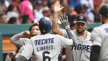 Tigres de Quintana Roo