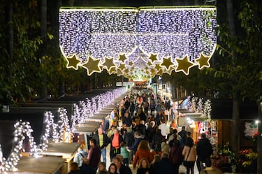 
Suele desplegarse a lo largo de la Avenida de Federico García Lorca (La Rambla) o en la Plaza de la Catedral. Es un mercado muy extenso que sirve de punto de encuentro para toda la ciudad. Además de los clásicos puestos de regalos y artesanía, destaca por su zona de alimentación, donde los almerienses compran productos de la huerta y repostería artesana. La luz de Almería, incluso en invierno, hace que pasear por este mercado por la mañana sea un placer, especialmente cuando se combina con las actividades culturales que el ayuntamiento organiza en las plazas adyacentes.