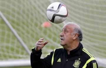 Vicente del Bosque.