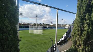 Las lonas, resquebrajadas.