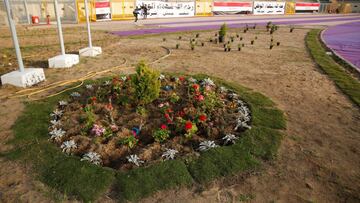 Egyptian fans to be allowed back to watch league games