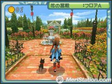 Riz Zoawd, Impresiones