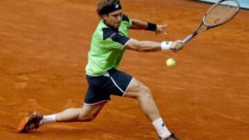 David Ferrer en su partido frente al alem&aacute;n Tommy Haas.