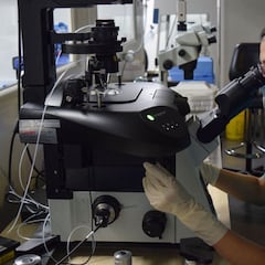 Si tienes este gen y te contagias de COVID, serás asintomático