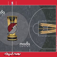 These are the 30 team courts for the 2024 NBA Cup