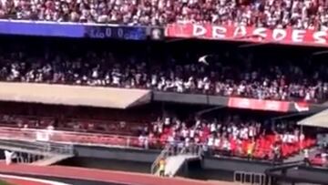 Drama en Brasil: un fan se precipita al vacío desde la grada