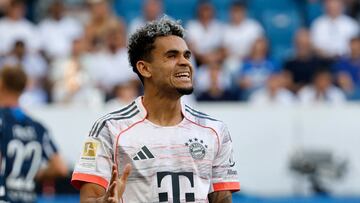 Soccer Football - Bundesliga - TSG 1899 Hoffenheim v Bayern Munich - PreZero Arena, Sinsheim, Germany - September 20, 2025 Bayern Munich's Luis Diaz reacts REUTERS/Heiko Becker DFL REGULATIONS PROHIBIT ANY USE OF PHOTOGRAPHS AS IMAGE SEQUENCES AND/OR QUASI-VIDEO.