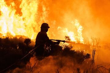 Dos incendios desatados en la provincia de ?vila han provocado la evacuaci¨®n de los municipios de Riofr¨ªo, Sotalbo, Villaviciosa, Palacios y Robledillo, adem¨¢s de quemar 10.000 hect¨¢reas. La situaci¨®n ha obligado la intervenci¨®n de la Unidad Militar de Emergencias.