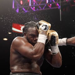Wilder pealará contra Stiverne: único púgil al que no noqueó