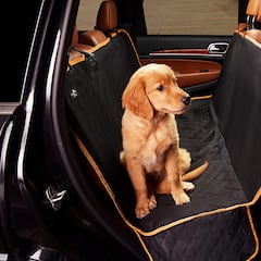 ¿Me puede prohibir un alojamiento llevar a mi mascota de vacaciones en verano?