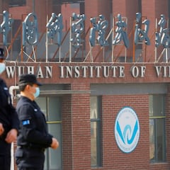 La opinión de la OMS sobre dónde salió el coronavirus