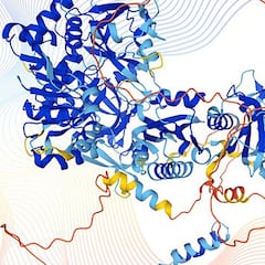 Una Inteligencia artificial de Google desvela en minutos un misterio de millones de años