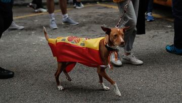 MADRID, SPAIN - MAY 14: A woman with her dog wearing a flag takes part in a protest against the government for its coronavirus (COVID-19) management in Madrid on May 14, 2020. (Photo by Burak Akbulut/Anadolu Agency via Getty Images) PERRO BANDERA ESPAÑOLA ESPAÑA