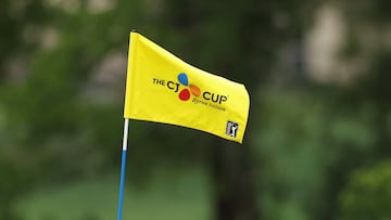 There is a prize purse of just under $10 million at TPC Craig Ranch, where the CJ Cup Byron Nelson comes to a conclusion this weekend.
