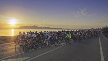 La Mallorca 312 realizará pruebas PCR a los participantes