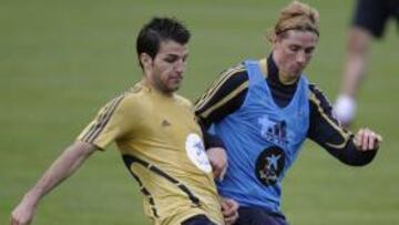 <b>CASI LISTOS. </b>Cesc y Torres pelean por un balón durante una sesión.