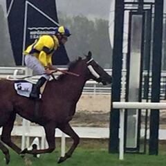 'Arab Poet', rival en un GP Carudel
de luto por Román Martín