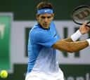Del Potro, Ramos, Granollers y Carreño debutan con victoria