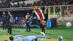 Este es el único canal de TV que transmite Palestino - Gremio: a qué hora juegan, horario y cómo ver la Copa Sudamericana