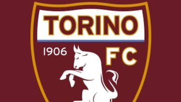 El COVID-19 vuelve a golpear en el Calcio: un positivo en el Torino