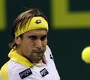 David Ferrer accede sin dificultad a las semifinales