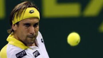 David Ferrer
