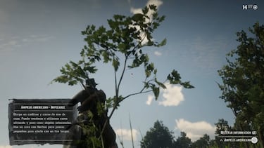 Todas las peticiones de caza de Red Dead Redemption 2