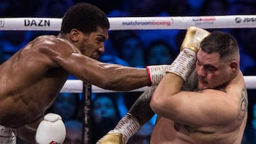 El boxeador mexico-americano no pudo refrendar su t&iacute;tulo mundial de peso pesado, al caer por decisi&oacute;n un&aacute;nime en la revancha ante Anthony Joshua.