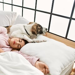 Si duermes con tus mascotas en la cama, la psicología dice que probablemente tienes estos siete rasgos comunes