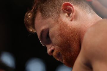 El poder, la pasión y la emoción de la 'Canelo' vs Jacobs en imágenes
