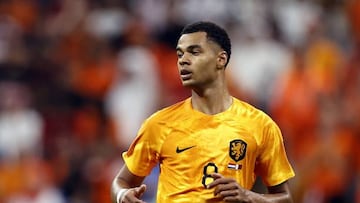 AL KHOR - Cody Gakpo of Holland during the FIFA World Cup Qatar 2022 group A match between Netherlands and Qatar at Al Bayt Stadium on November 29, 2022 in Al Khor, Qatar. ANP MAURICE VAN STONE (Photo by ANP via Getty Images)