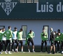 El Betis regresa al trabajo
sin Borja Iglesias ni Canales